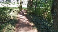 Crossen door het bos
