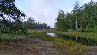 Nat.Park Dwingelderveld