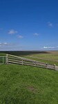 Zeedijk Waddenzee bij Noarderleech