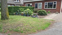 Leuke afscheiding van de tuin
