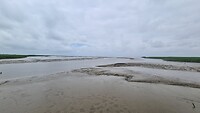 Dollard