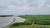 Zicht op looppad naar Kiekkaaste