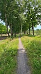 Mooi paadje