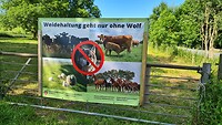 Ook hier komt de Wolf