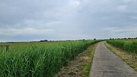 Ost-Friesland, zo stil