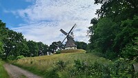 Molen