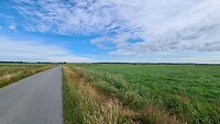 Veel graslanden met af en toe een heuveltje