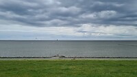 Weerzien met de zee