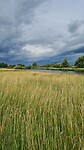 Natuurgebied Meldorfer haven