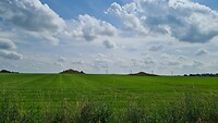 Grafheuvels Vikingen