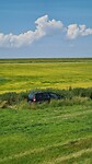 Langparkeren.......
