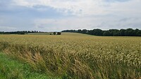 Uitzicht vandaag