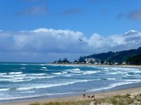 het strand en de zee van Whangamata