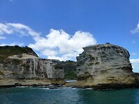 Muriwai Beach met de uitstekende rotsen