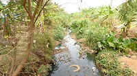 maar malaria en bilharzia tieren hier ook welig