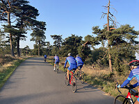 over de Veluwezoom fietsen we voor de wind de laatste etappe naar Noordwijk