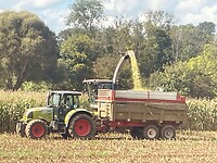 De boeren zijn met dit mooie weer erg druk met de maisoogst