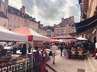 in Chalon-sur-Saône is op zondag een grote markt, waar we ons doorheen moesten wringen