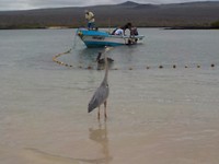 DSCN0446