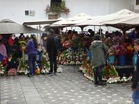 Bloemen markt