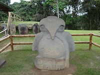Vogel