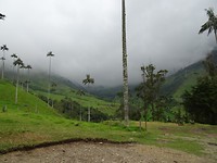 cocora vallei