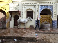 In de Medina