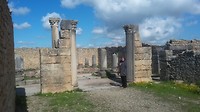 Volubilis huis