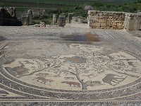 Volubilis mozaïek