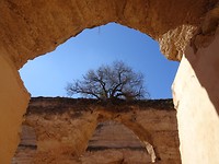Ruines koninklijke paardenstallen