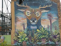 Candelaria graffiti