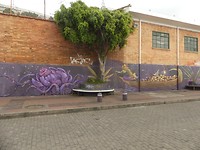 Candelaria graffiti