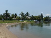 Monkeyriver town