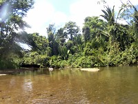 Rivier