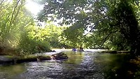 Botsing