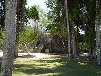Xinantunich