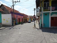 Flores