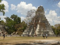 Tempel van de grote jaguar