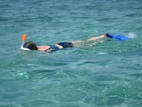 Snorkelen