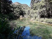 Rivier