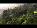 Driving Creek railway in Coromandel