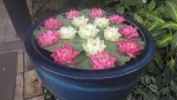 Zaterdag 12 april