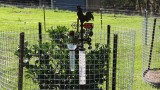 Dinsdag 6 mei