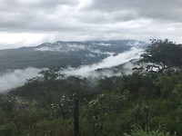 2F0B8ECE-710F-4401-96CA-0916ACA4C231