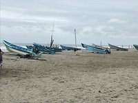 8A08D38C-BB11-4ECE-BF7F-7B8897C1D85C