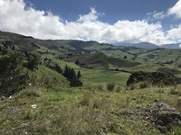E1028477-51D4-42E8-9099-E9C25900EC60