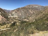 IMG_3995