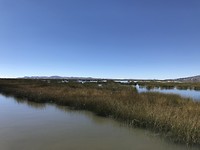 IMG_4878