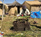 IMG_4891
