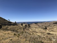 IMG_4966